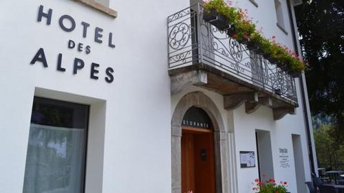 Hotel des Alpes Dalpe
