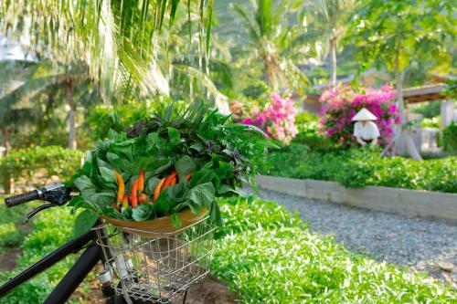 Six Senses Con Dao - Turtle Island Paradise