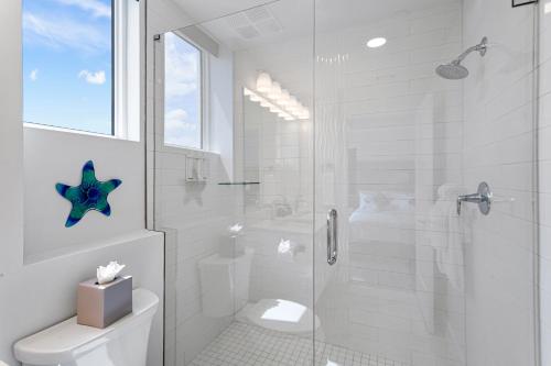494302588 Ocean Club Treasure Island Hotel