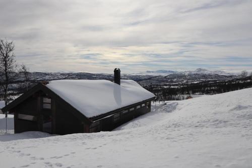 Veslestølen - Ålhytte with amazing view, 1000 meter, Al (zdjęcie 4)