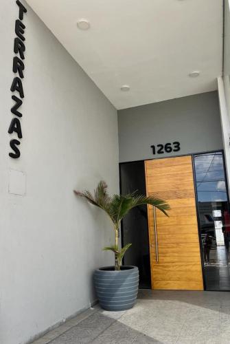 Terrazas 6
