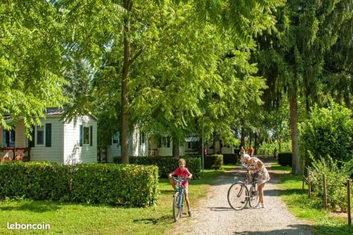 La pépite Rose d'Europapark - Camping - Boofzheim