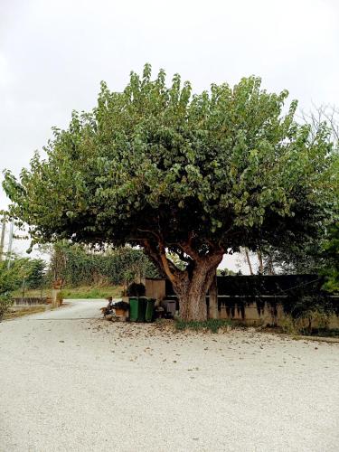  IL CASALE in Montemarciano
