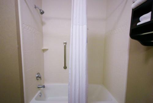 Hampton Inn & Suites Flowery Branch in Flowery Branch, USA