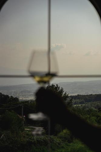Turističko domaćinstvo Lazarević - Zlatni prag - image 6