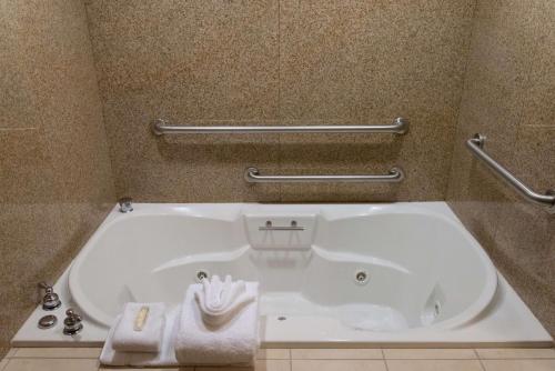 Hilton Garden Inn Laramie - image 8