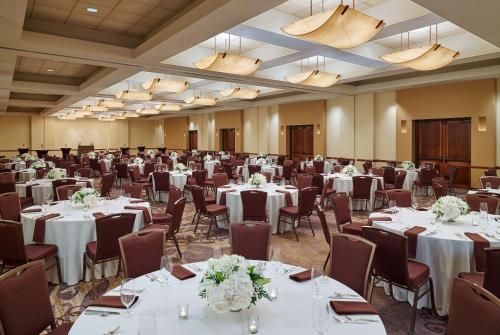 Hilton San Antonio Airport - image 11