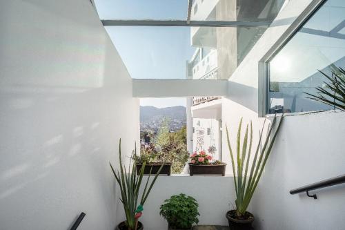 Cuarto Huichol - Seguridad - 10 min de Centros Comerciales y Zona Esmeralda - Empresas bienvenidas in Mexico City, Mexico