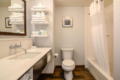 Hampton Inn Brighton Mi - image 9