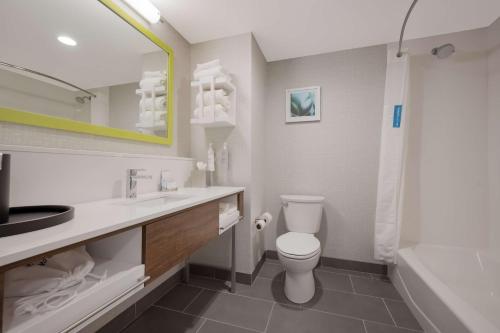 Hampton Inn by Hilton Detroit Southfield - 화장실