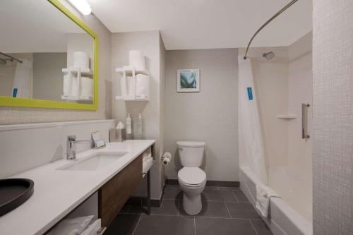 Hampton Inn by Hilton Detroit Southfield - 화장실