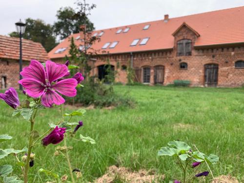 B&B Letschin - Ferienhof Weitblick - Bed and Breakfast Letschin