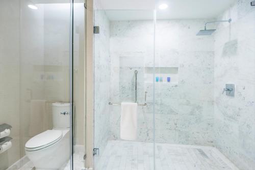 Hyatt Regency San Luis Potosi Room Type - King Suite with Terrace