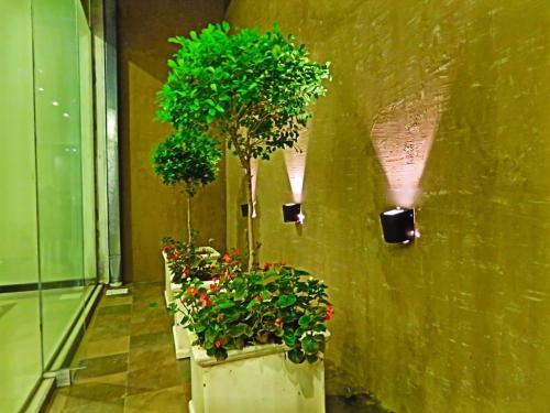 편의 시설/서비스, Grand Hotel in 레콘키스타