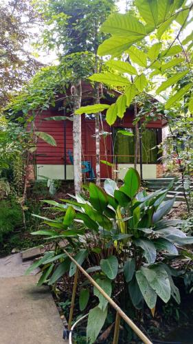 . Guapote Lodge