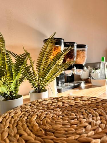 Riverline lodge in Torres Del Paine