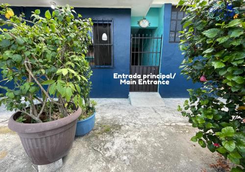 Casa de Yoli in Cozumel, Mexico