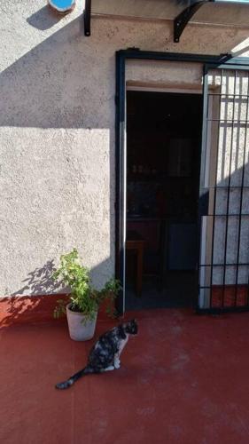 Hotellet från utsidan, Pasa por la huerta Alojamiento in Maipu