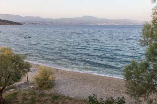 Seaside Serenity Suite in Loutra