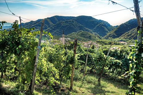 Ca'Lisel, Valdobbiadene (fotografie 5)