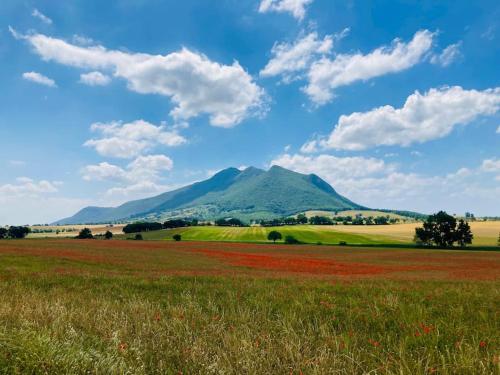 Apkārtne, Il Cottage di Stella incantevole appartamento in Sant' Oreste