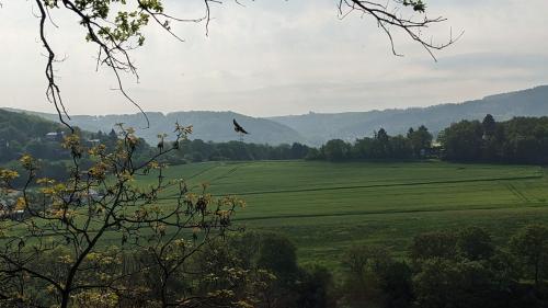 WaldPhantasia - Nationalpark Eifel - Jakuzzi mit Fernblick - Steilhang - Naturlage