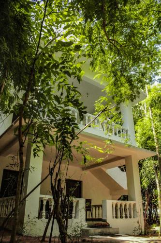 Viesnīcas āriene, Panna Tiger Resort in Madla