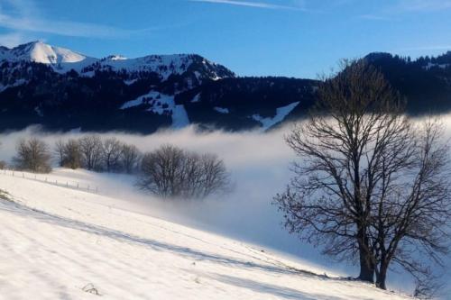 Jolie vue au calme