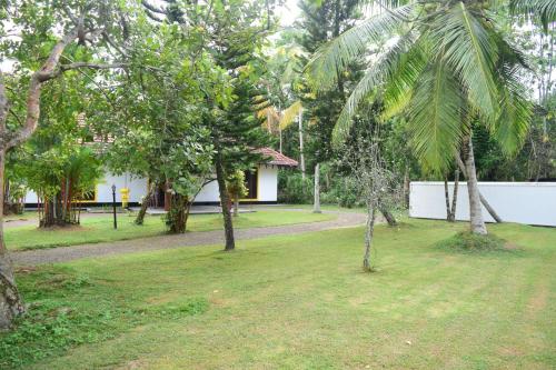 Villa image 8