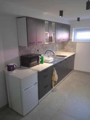 Apartamenty Przy Rynku Gąsawa/Biskupin