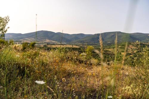 Casa de turismo rural Sardom3