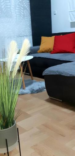 Apartment with garage Lavici photo 3