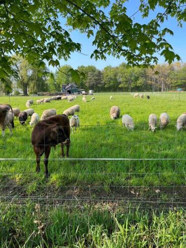 4 bedroom apartment on 75 acre farm