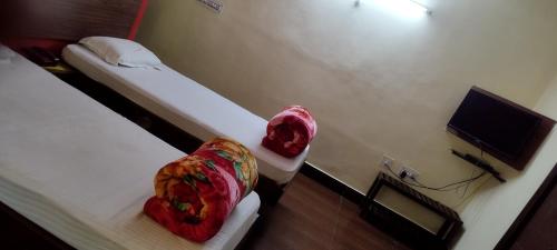 Hotel Shiva Krishna(Unit of Nandan Udyam Pvt Ltd)