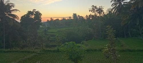 Pondok Ampel Duri homestay