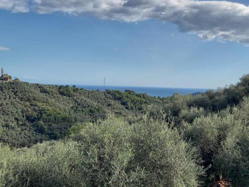  Le casasse in Imperia