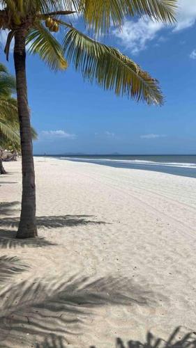 Surfer’s Sanctuary on uncrowded beach!