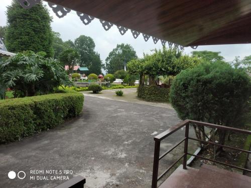 Pine view Homestay