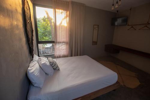 Suite with Terrace image 1