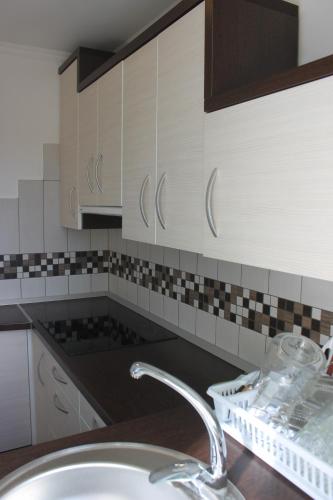 virtuve, Mesteri Apartman in Mesteri