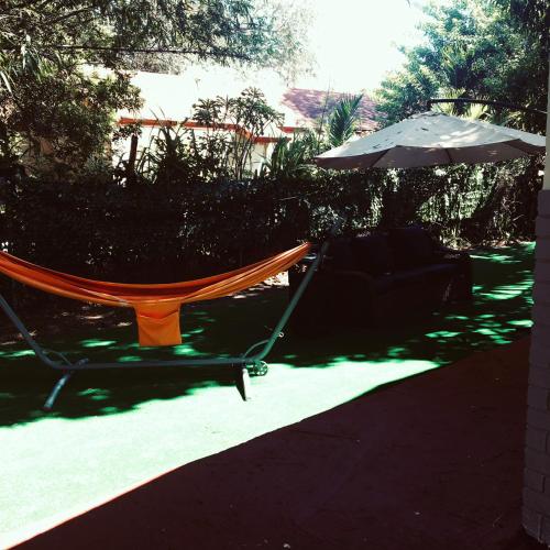 Crocodhouse - image 2