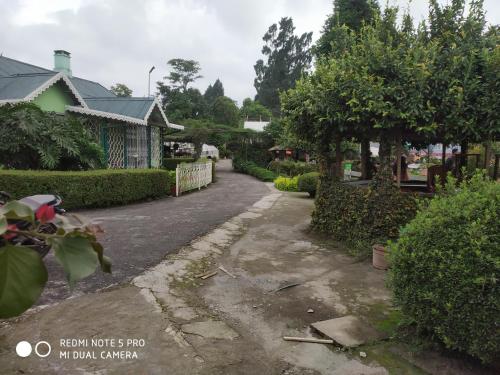 Pine view Homestay