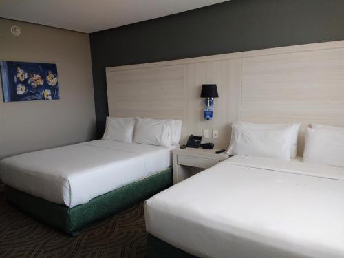 Holiday Inn Express Pachuca, an IHG Hotel