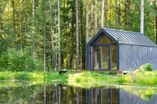 Bird house in Cesis