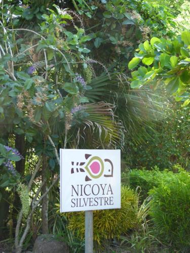 Nicoya Silvestre