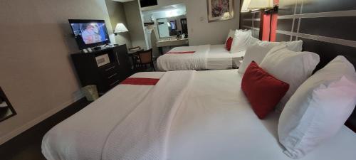 2 Queen Beds, Pool Access, Non-Smoking