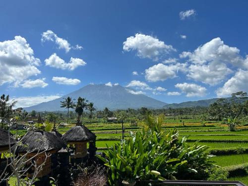 Jero Tumbuk Private Villa