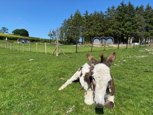 Great House Farm Luxury Pods and Self Catering