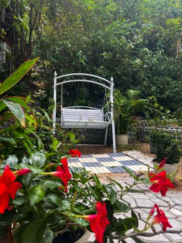 Wonderland Jungle Hostel - 숙소 외관