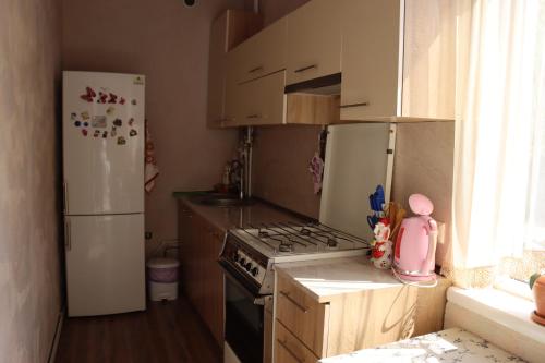 virtuve, SELINA GUEST HOUSE in Bjurakana